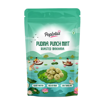 Pudina Punch Mint