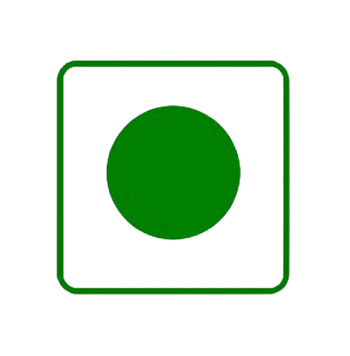 Pudina Punch Mint