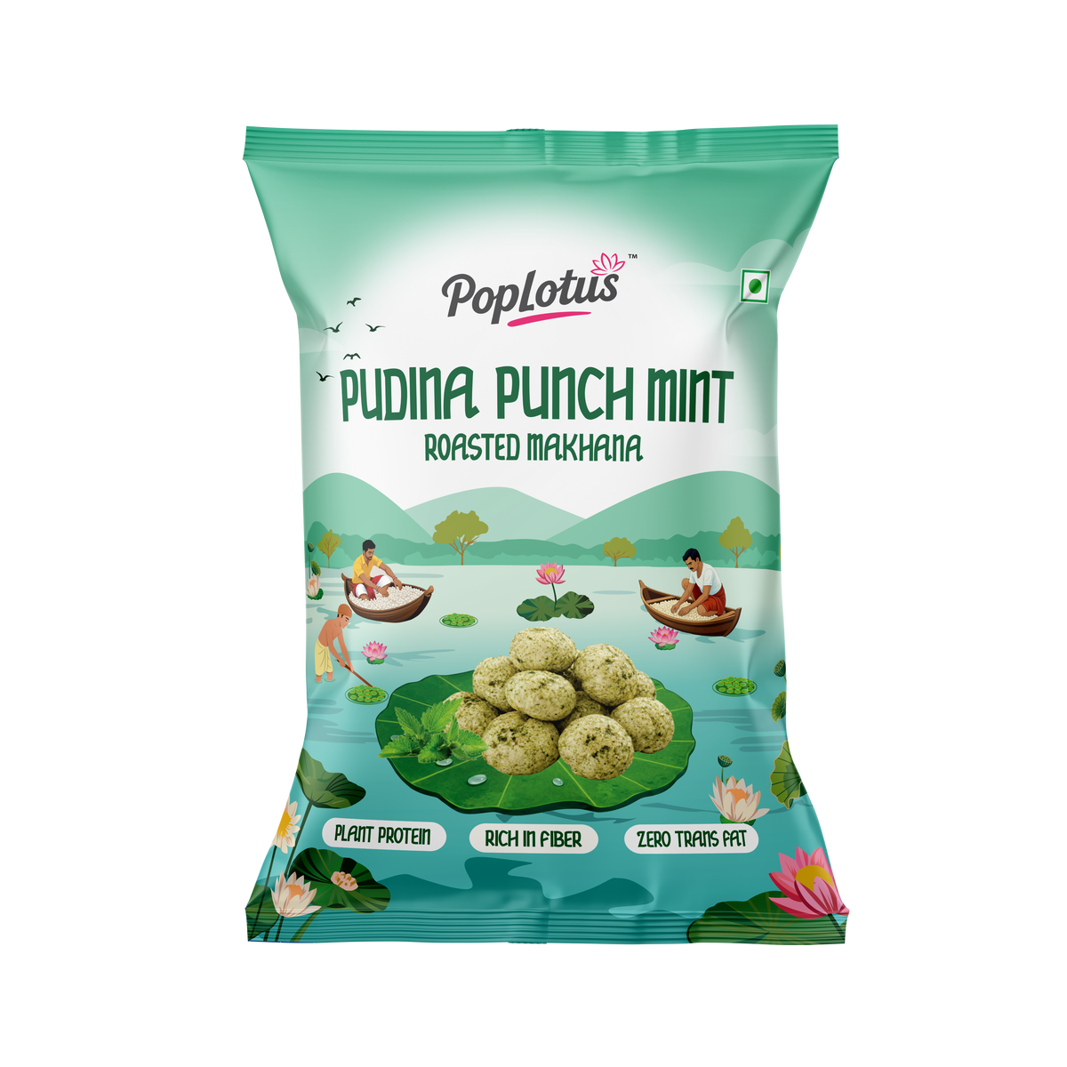 Pudina Punch Mint | 25g